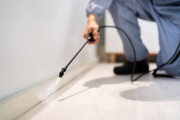 Rodent Entry Point Assessment in Iowa Falls