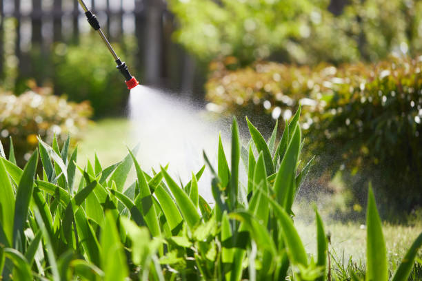 Tamper-Resistant Bait Stations for Rodents in Iowa Falls