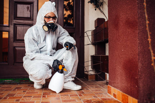 Attic and Crawl Space Rodent Treatment in Iowa Falls