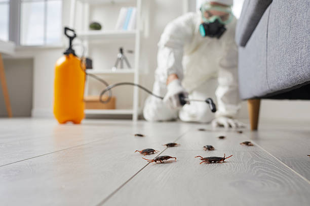 Commercial Rodent Management in Iowa Falls